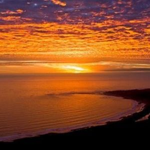 Meet your Posher, Lil